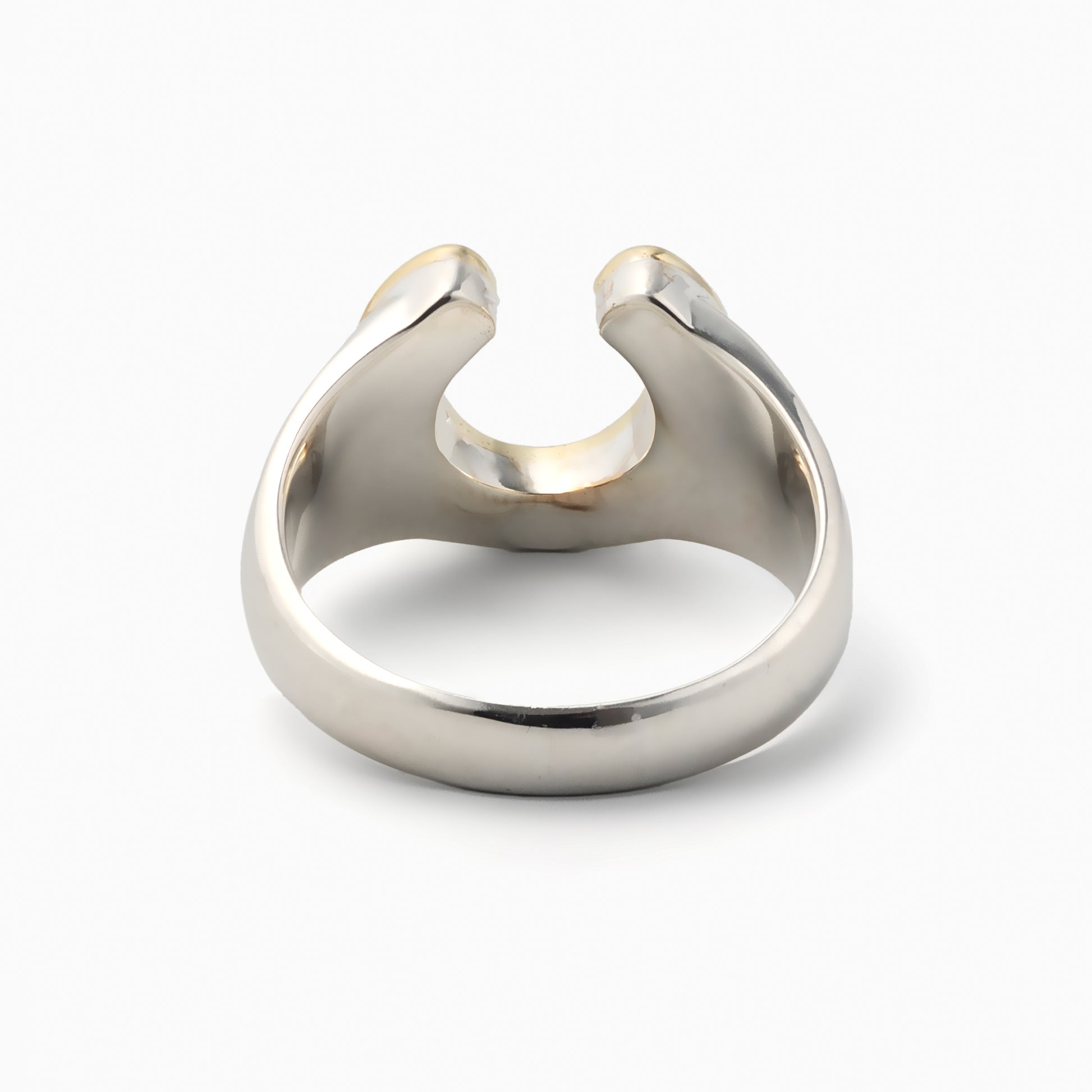 Chain Horseshoe Ring